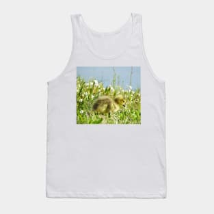 Baby gosling, Canadian Geese, wildlife gifts Tank Top